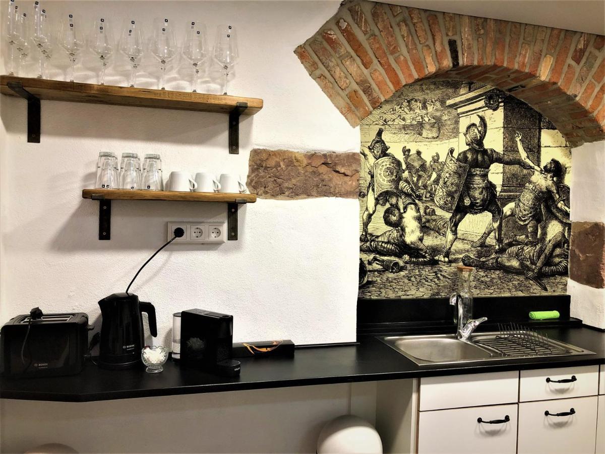 Luxus Apartment Colloseum In Der Stadt Freiburg im Breisgau Eksteriør billede